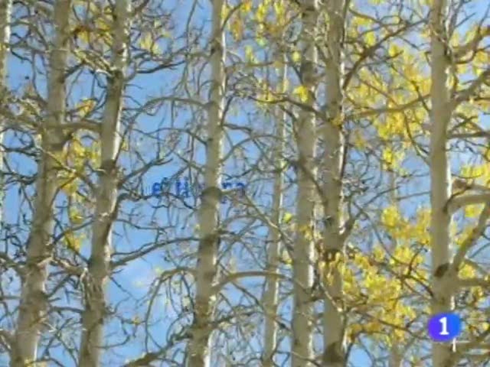 El tiempo en Andalucía - 04/11/11 | Ver