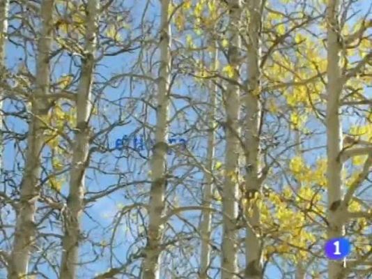 Noticias Andalucía - El tiempo en Andalucía - 04/11/11