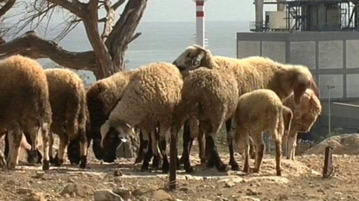 Noticias de Melilla - Noticias de Melilla - 04/11/11