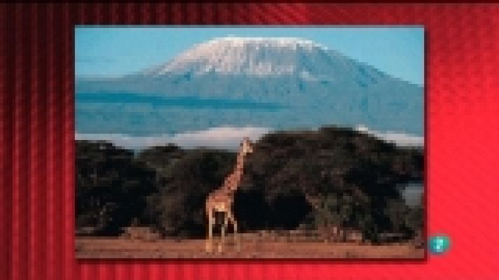 Saber y ganar - Saber y ganar. Edición fin de semana - 06/11/11