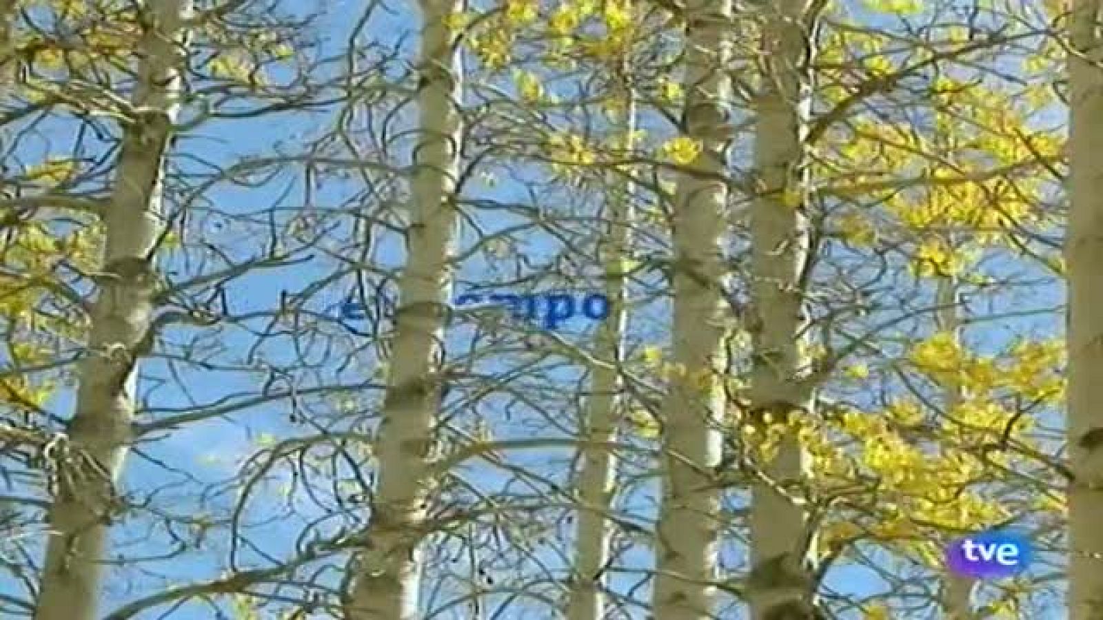 El tiempo en Canarias - 06/11/11 | Ver