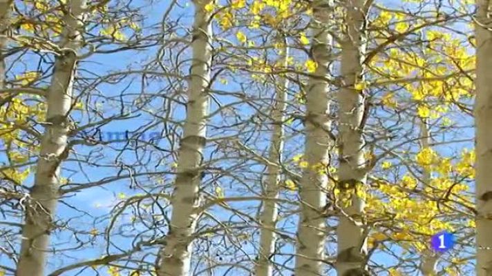 Telexornal - Galicia - El tiempo en Galicia - 07/11/11