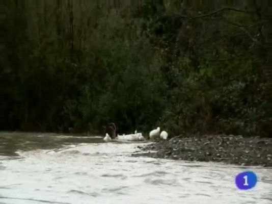 Telenavarra - Telenavarra - 07/11/11