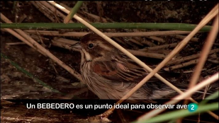 Biodiario - Biodiario - 07/11/11