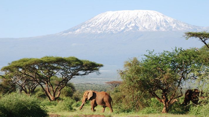 Buscamundos - Kenia y Somalia: placer y dolor de