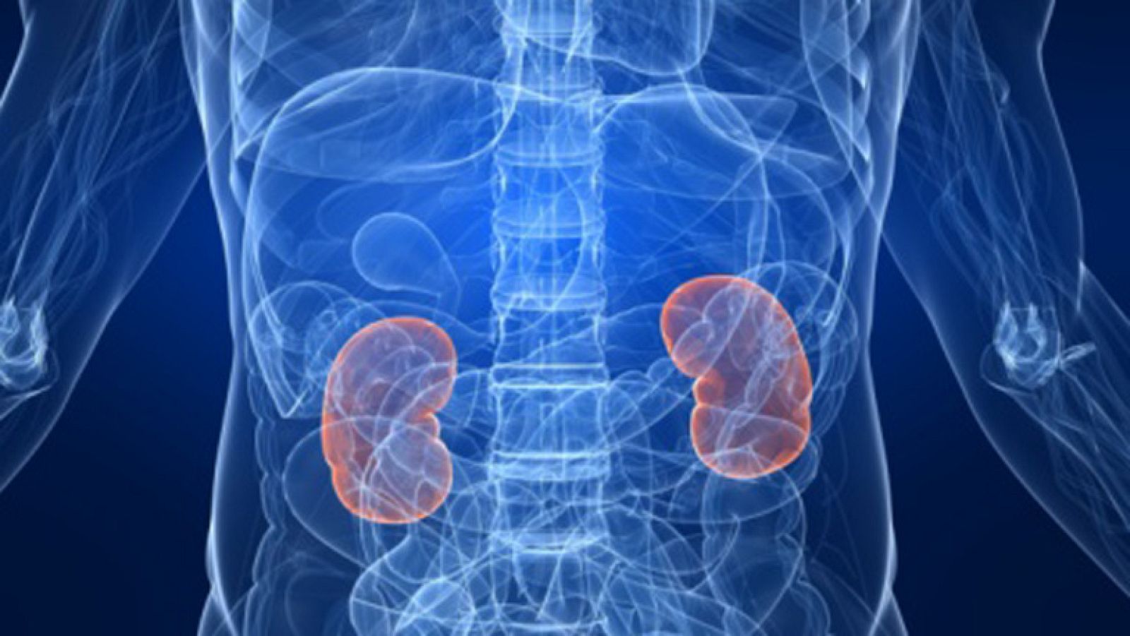 Saber vivir - 08/11/11 - Ver ahora