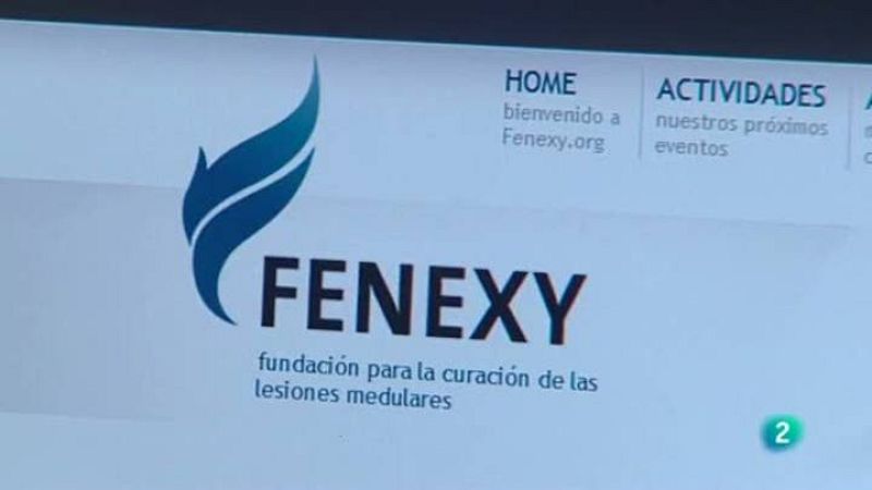 Para todos La 2 - ONG - Fenexy