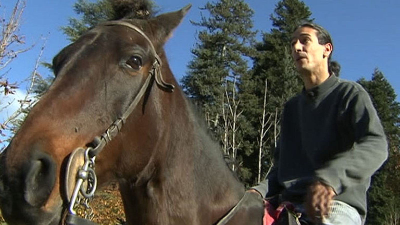 Multado un jinete con 500 euros por ir bebido a lomos de su caballo por la vía pública