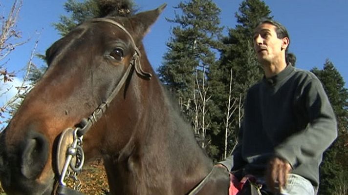 Telediario 1 - Jinete multado con 500 euros
