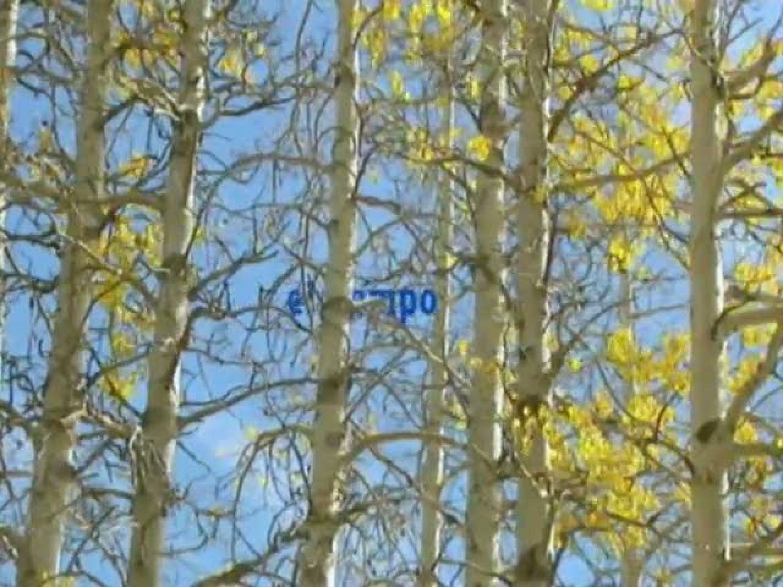 El tiempo en Cantabria - 08/11/11