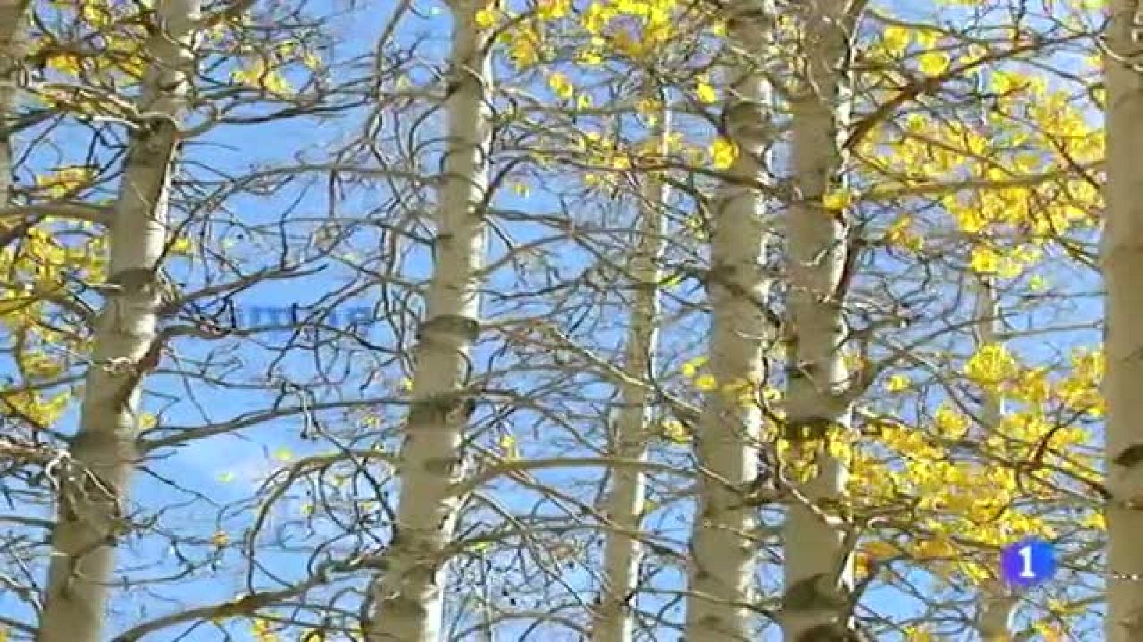 El tiempo en Galicia - 09/11/11