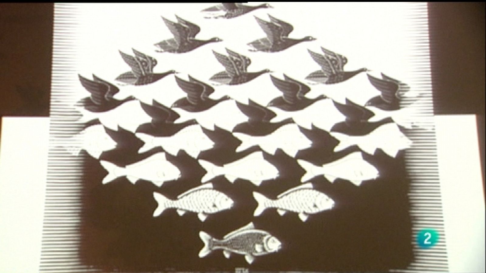 La aventura del saber - 10/11/11 - Ver ahora