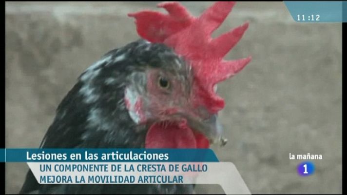 La mañana - Saber vivir - 10/11/11