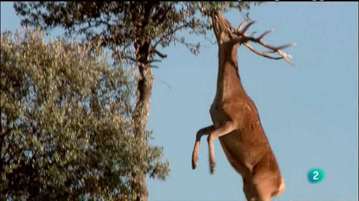 Biodiario - Biodiario - 10/11/11