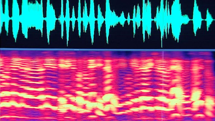 Telediario 1 - La identificación de voz ayuda