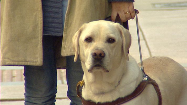 Telediario 1 - Retos cotidianos para los ciegos