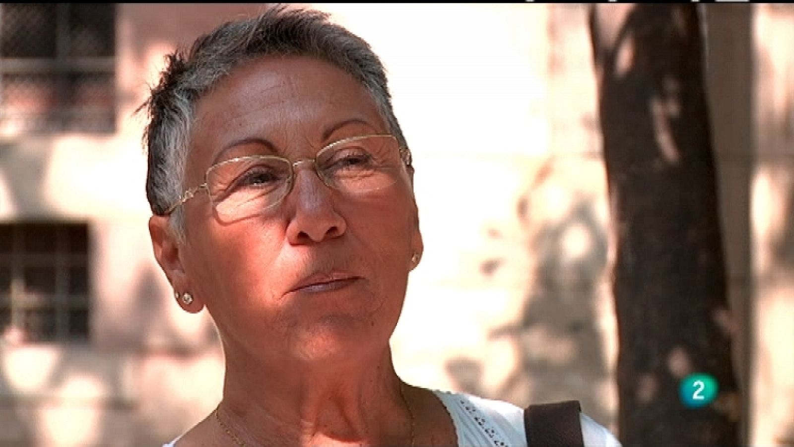 La felicidad (en cuatro minutos) - Colores - Ver ahora