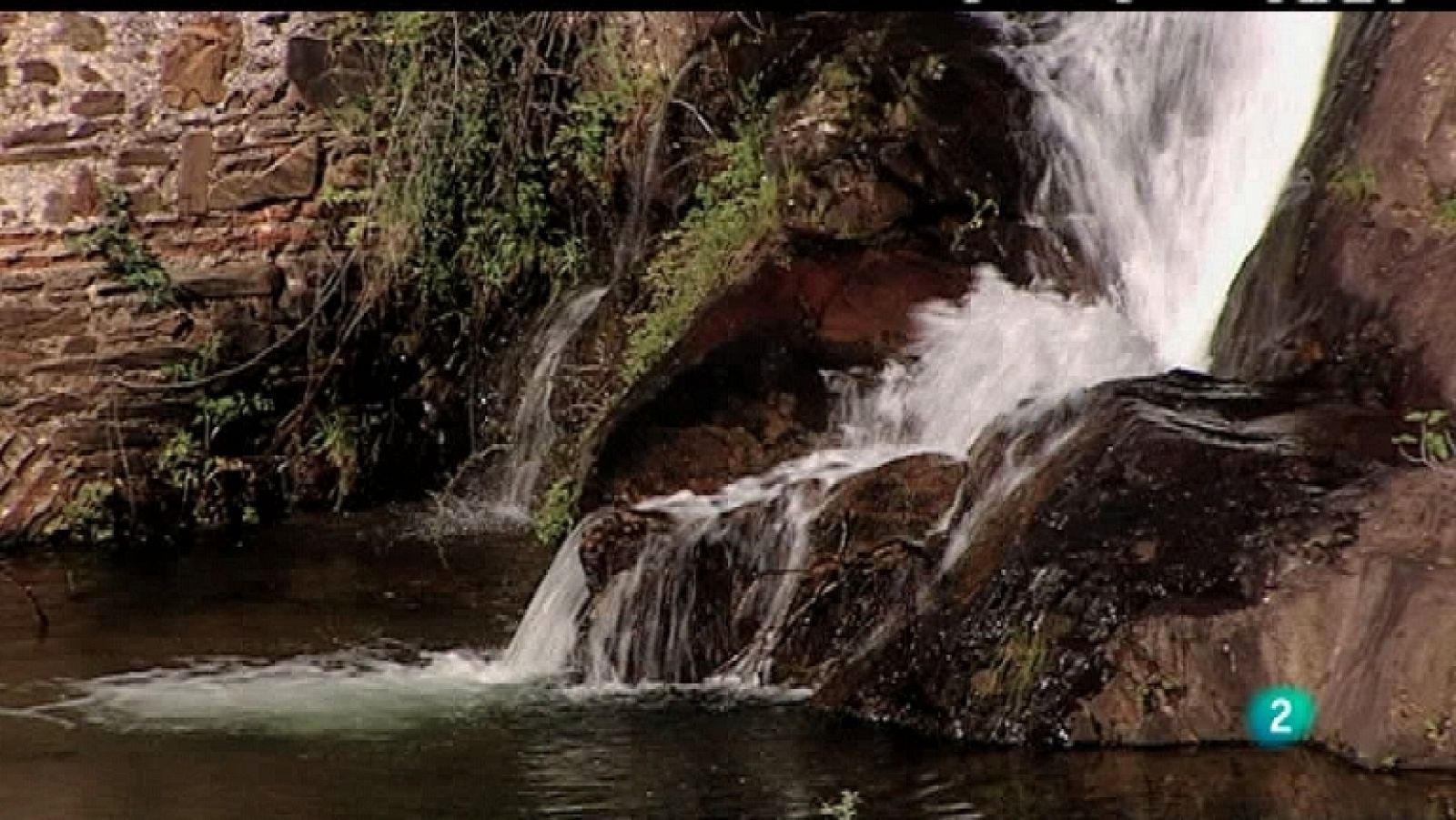 Biodiario - 11/11/11 - Ver ahora