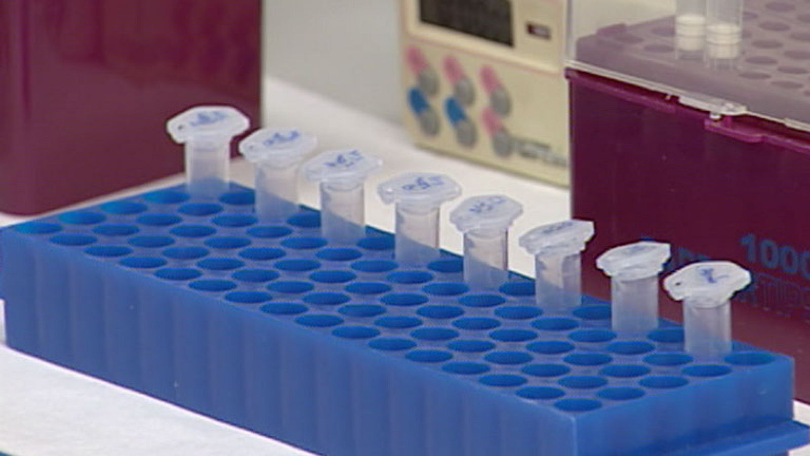 El 90% de los casos de muerte súbita se deben a una enfermedad cardiaca