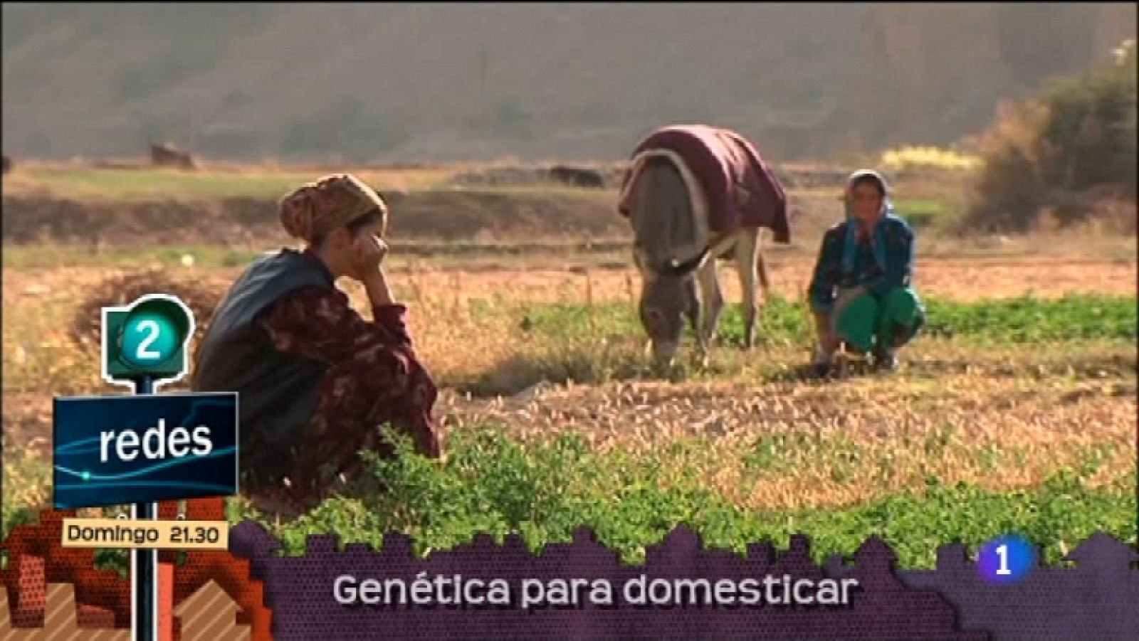 Lo que hay que ver - 13/11/11 - Ver ahora