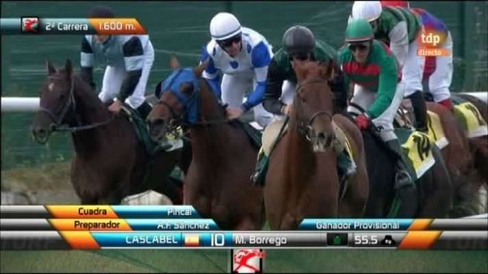 Turf - Turf - 13/11/11