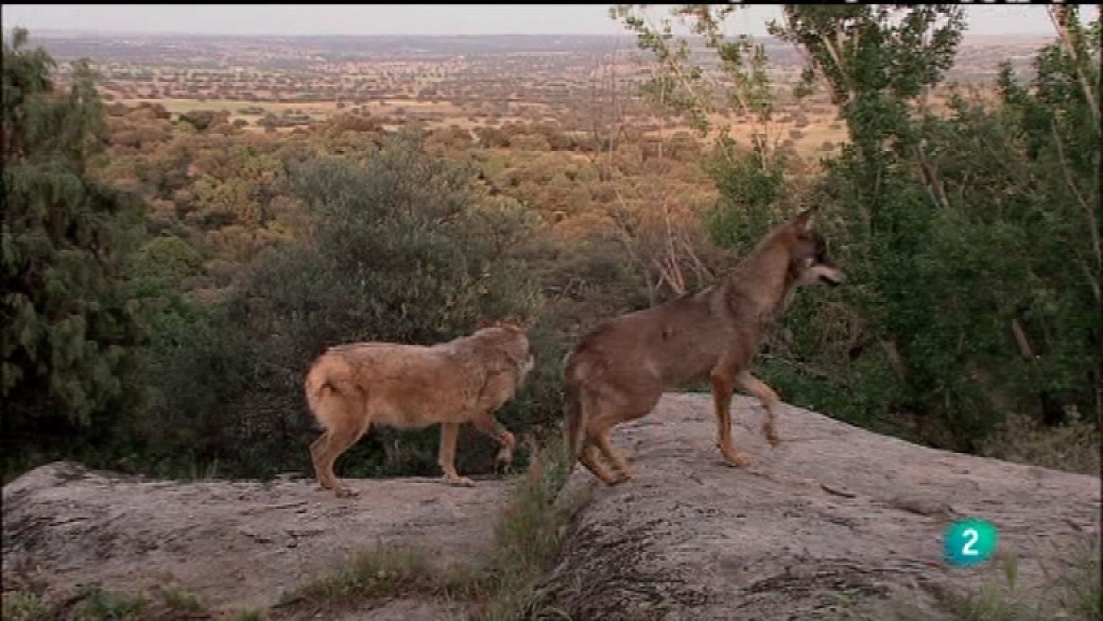 Biodiario - 13/11/11 - Ver ahora