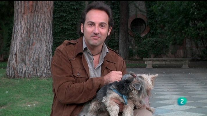 Más que perros y gatos - Capítulo 7