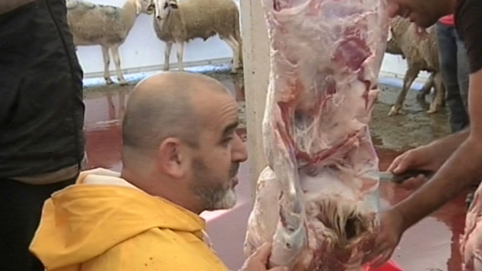 Noticias de Ceuta - 11/11/11