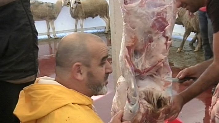 Noticias de Ceuta - Noticias de Ceuta - 11/11/11