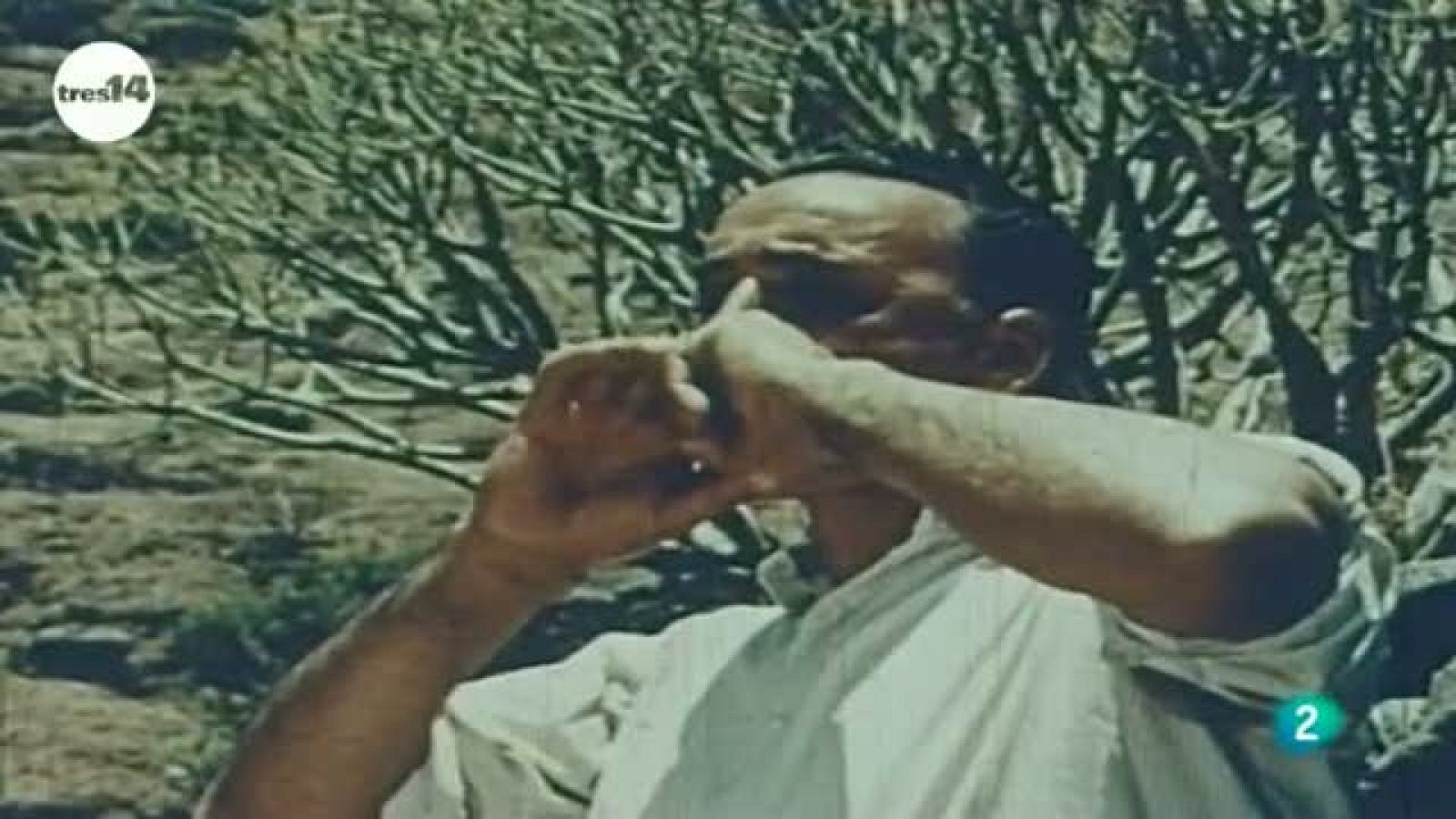 tres14 - Curiosidades científicas -  Reglas gramaticales