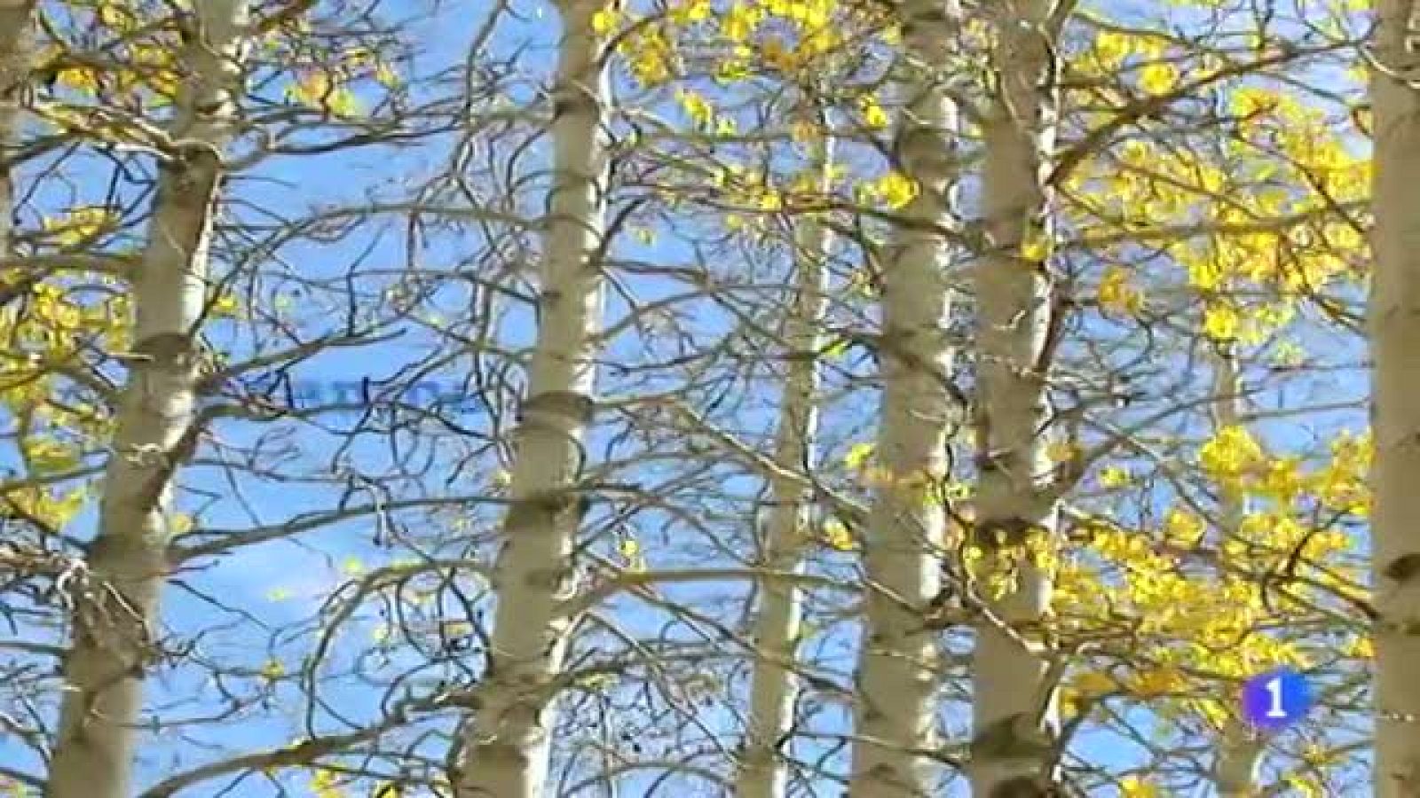 El tiempo en Galicia - 14/11/11