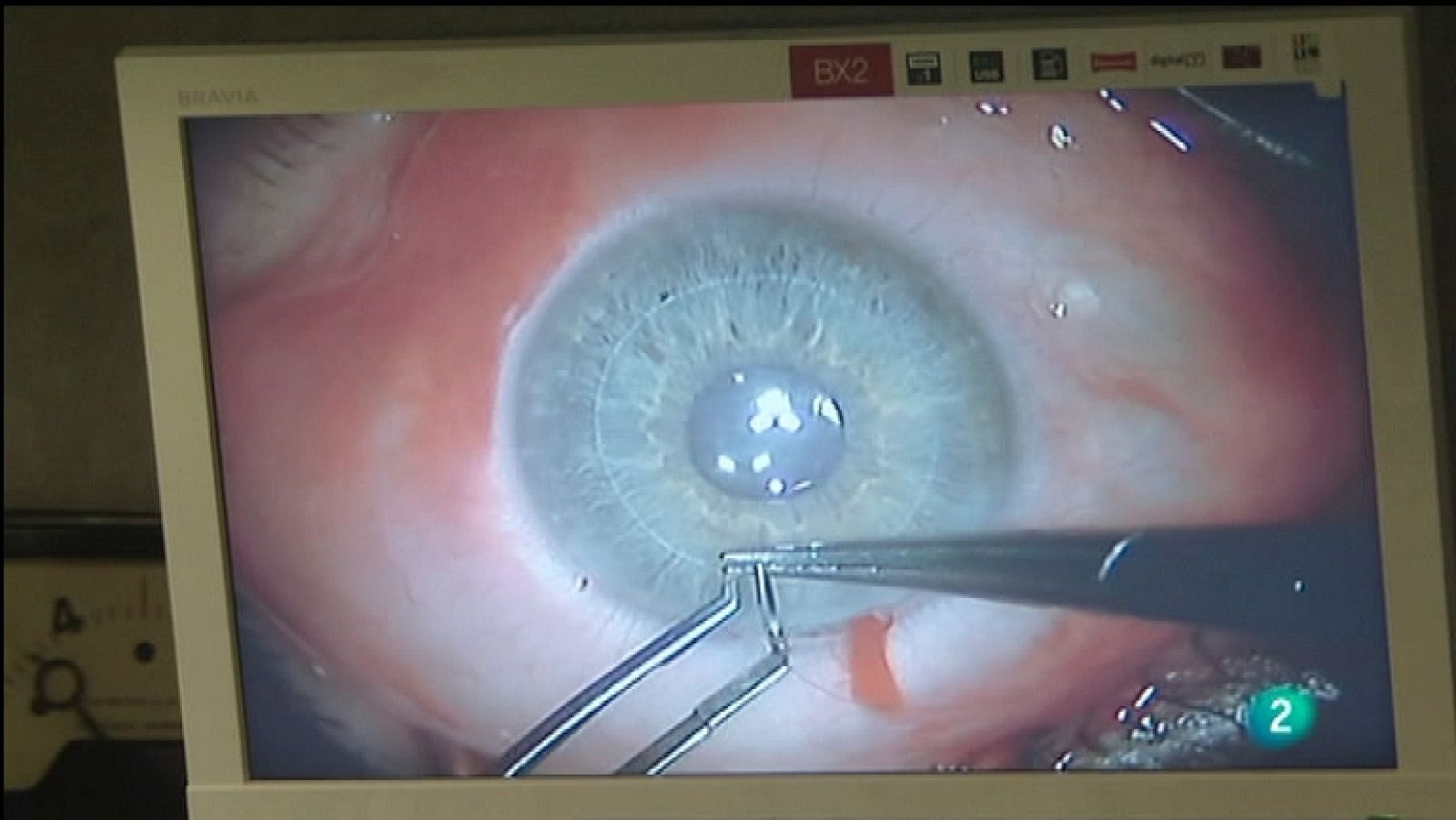 Para todos La 2 - 14/11/11 - Ver ahora