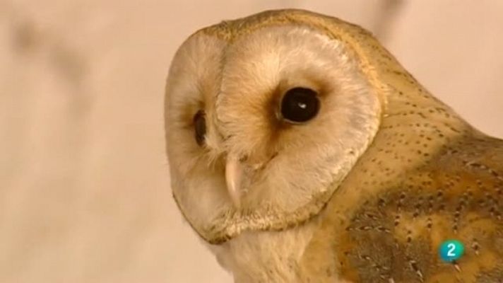 Biodiario - Biodiario - 14/11/11