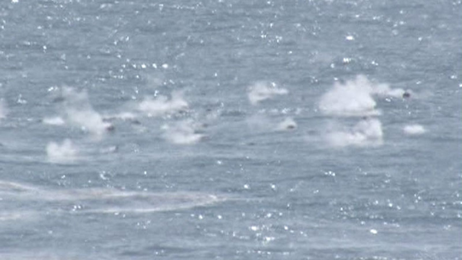 La población y los científicos continúan en vilo en la isla de El Hierro