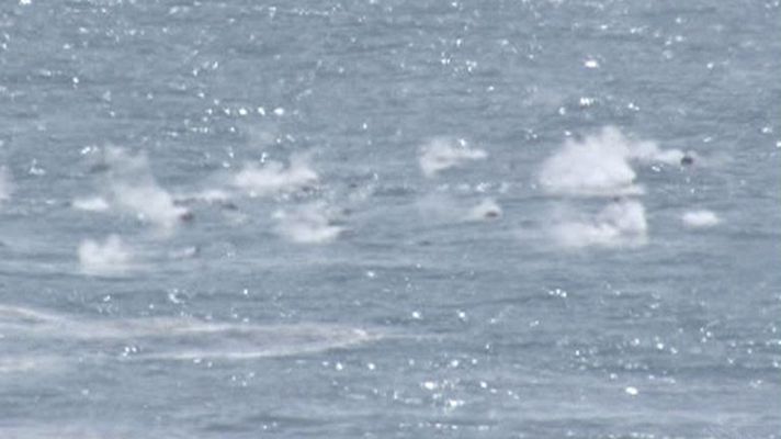 Telediario 1 - El Hierro en vilo