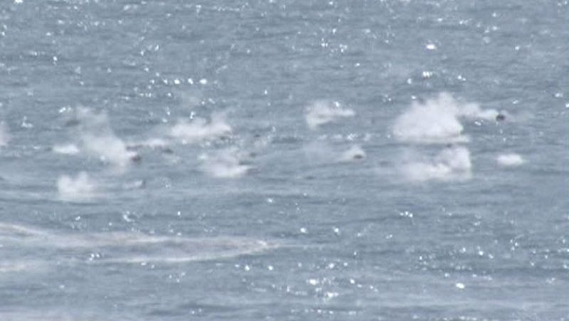 La población y los científicos continúan en vilo en la isla de El Hierro