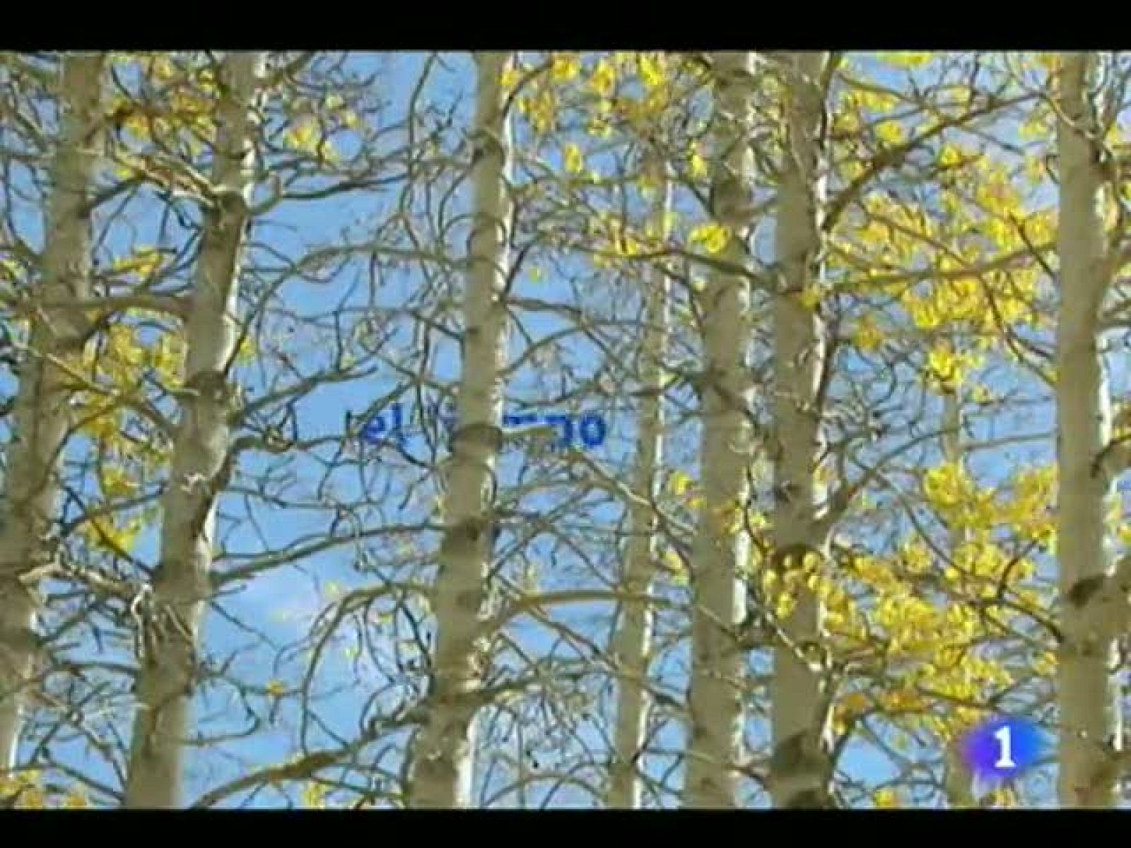 El tiempo en Canarias - 15/11/11 | Ver