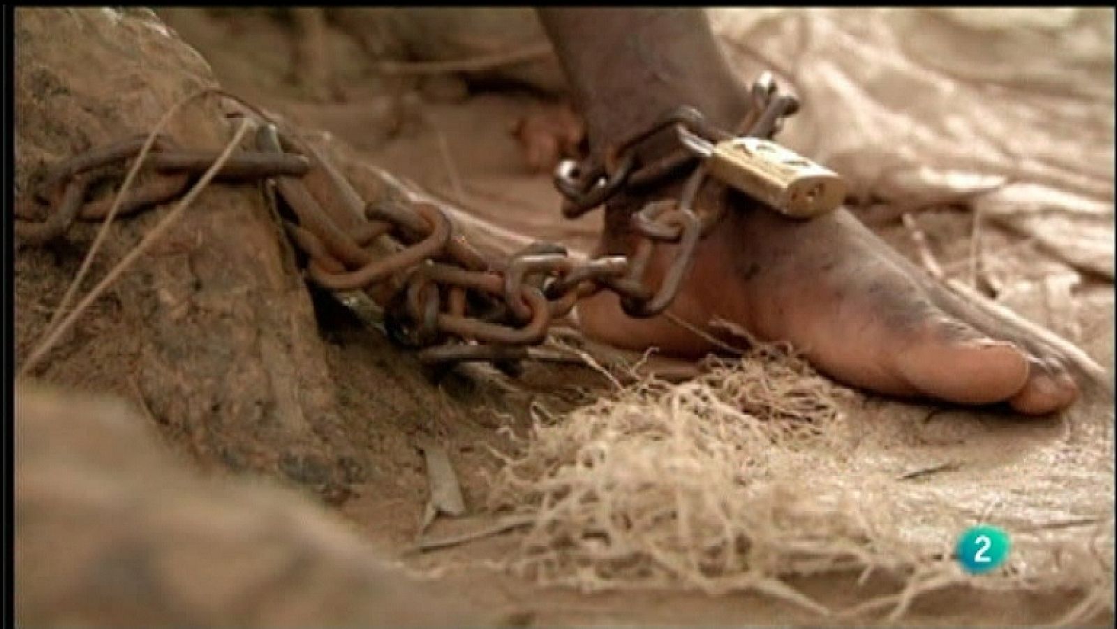 Para todos La 2  - 15/11/11 - Ver ahora