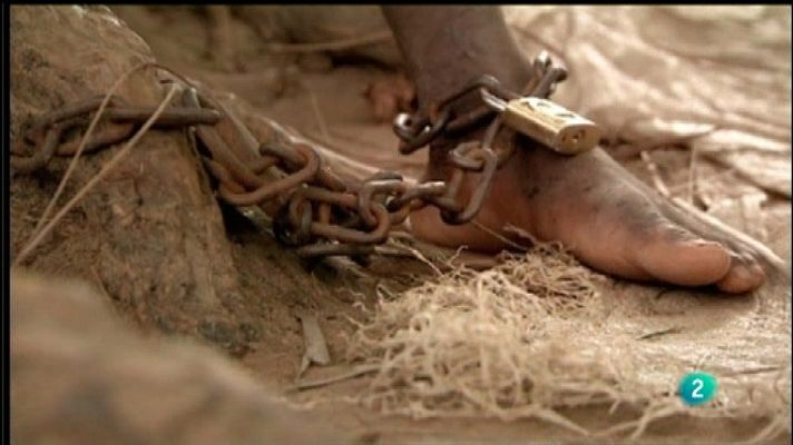 Para todos La 2 - Para todos La 2  - 15/11/11