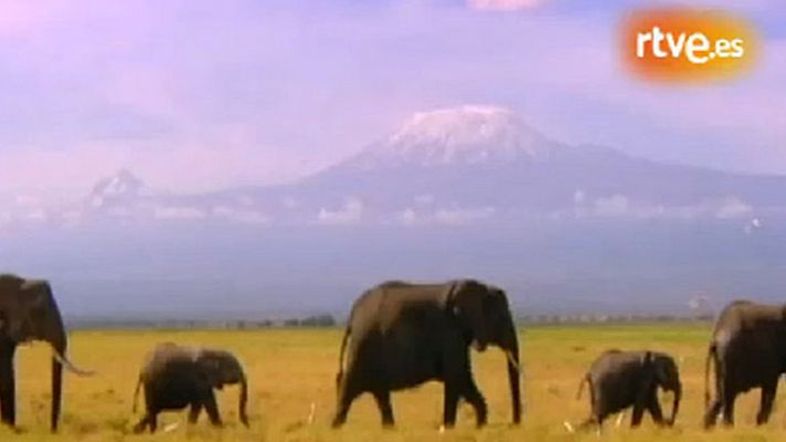 Archivos Tema - Ecología (avance)