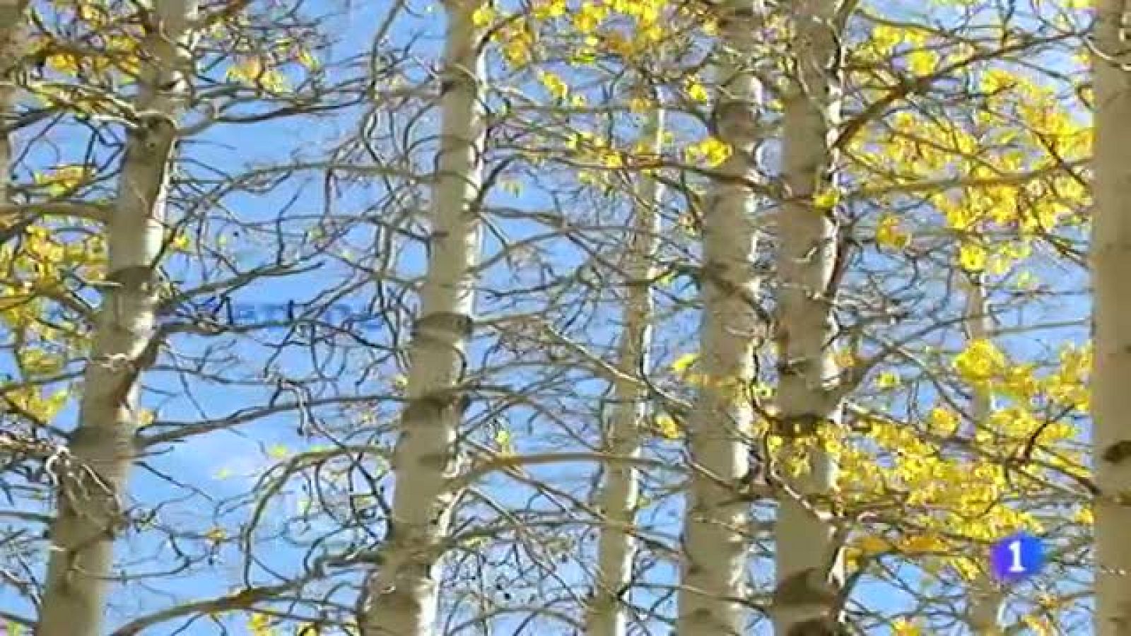 El tiempo en Galicia - 16/11/11