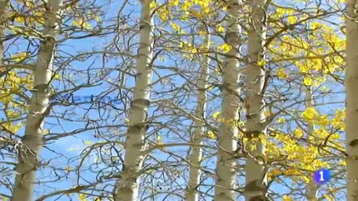 Telexornal - Galicia - El tiempo en Galicia - 16/11/11