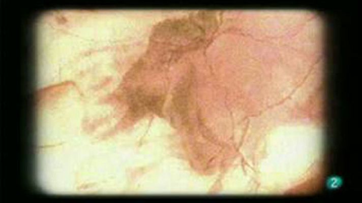 La mitad invisible - Las pinturas de Altamira - avance