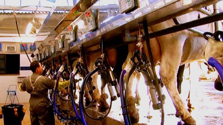 Comando Actualidad - Barato, barato - Precio de la leche