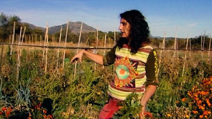 Comando Actualidad - Barata, barato - La huerta en casa