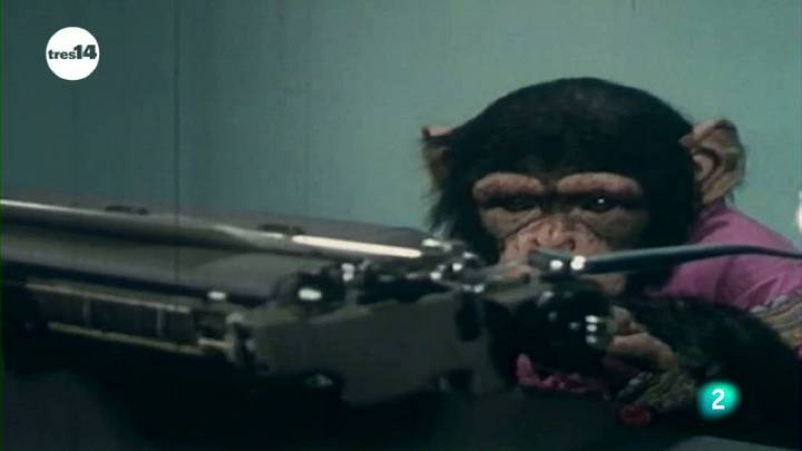 tres14 - Curiosidades científicas -  Teorema de los infinitos monos