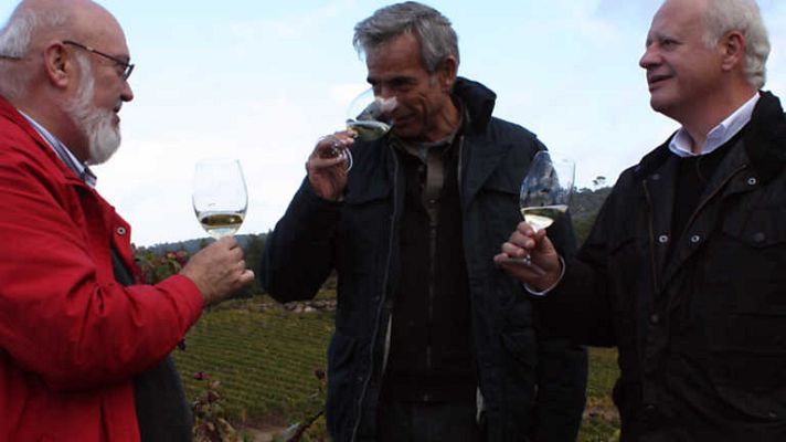 Un país para comérselo - Ourense, una de romanos en un bosque animado