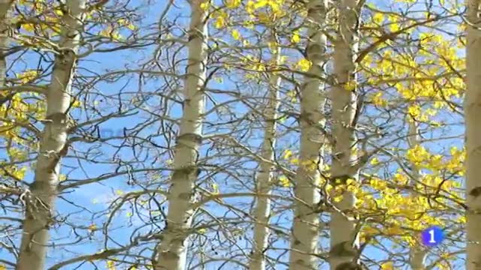 El tiempo en Galicia - 18/11/11