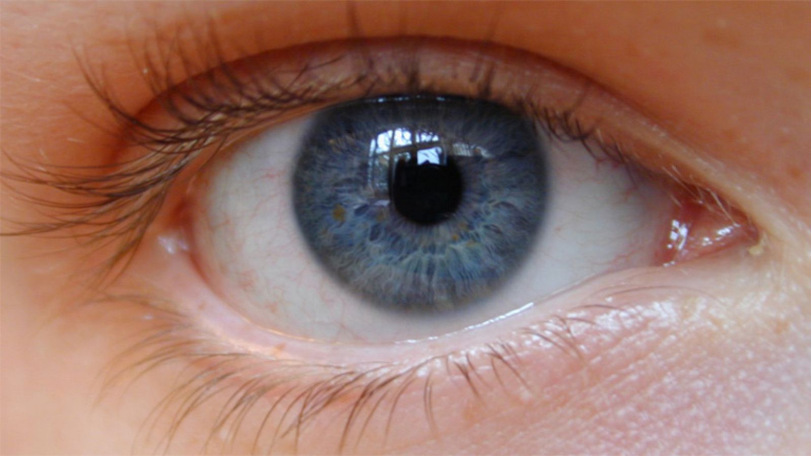 ¿Cómo evitar el síndrome de fatiga visual?