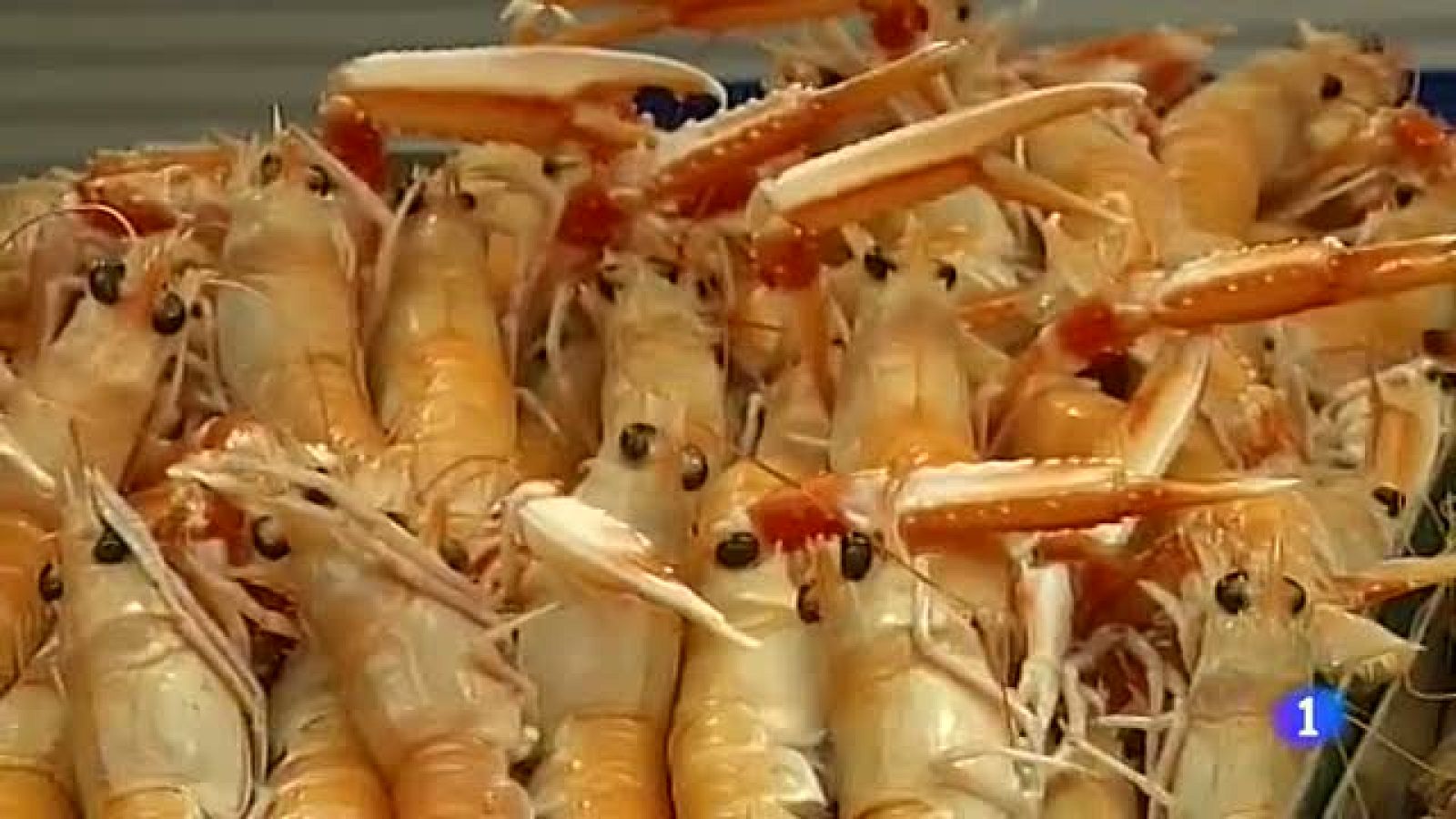 Más Gente - Muchos consumidores ya compran para Navidad